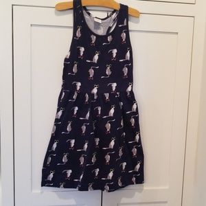 Girls Gymboree Cat Dress (m) 6-7
